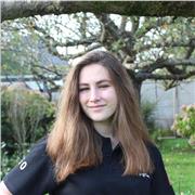 Professeur d'anglais tout niveau